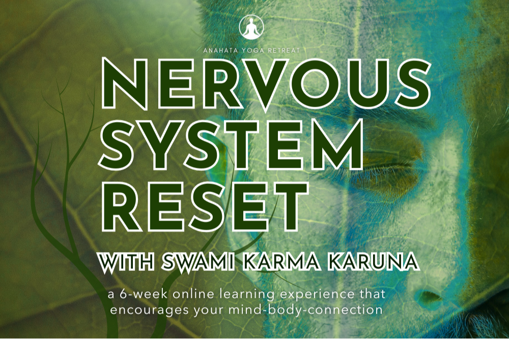 ONLINE by Anahata NZ   Nervous System Reset Course  with Swami Karma Karuna   Welcome to 'Nervous System Reset Course' — a 6-week online learning experience that encourages your mind-body connection. Note times NZT